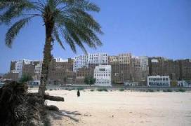 Dutch Ambassador : I watched the mobility of people in Hadramawt through civil society organizations 