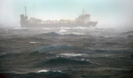 Panamanian cargo ship sank near the coast of Socotra  island  