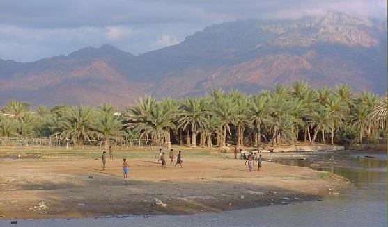 Precautionary procedures for the swine flu in Socotra
