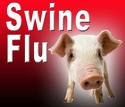 Swine flu closes 3 more Yemen schools 