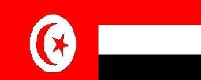 10 scholarships allocated for Yemenis in Tunisia