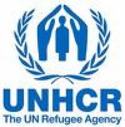 UNHCR: 74 thousand Africans moved to Yemen in 2009
