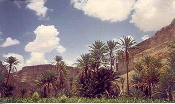 For the second in a row the  visiting doctor continues