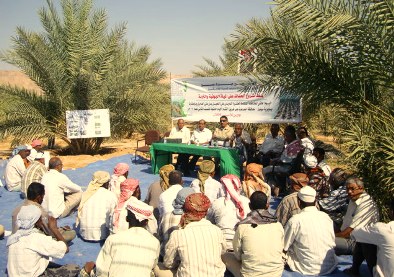 A field day for the integrated control of insect Dubas in Palm trees 