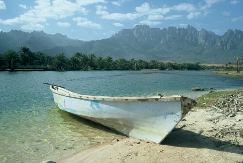 Shamlan lays foundation stone of the four projects of modern fish Socotra archipelago 