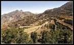 IFAD preparing designs of $ 38-million Yemen agricultural, fish projects