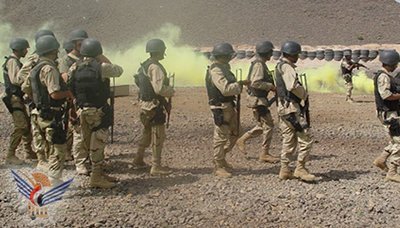 Four al-Qaeda elements killed in Abyan