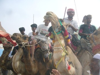 Second Camel decoration Festival in Thamud concludes its activities