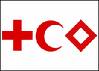 Yemen, ICRC discuss joint cooperation, humanitarian aid