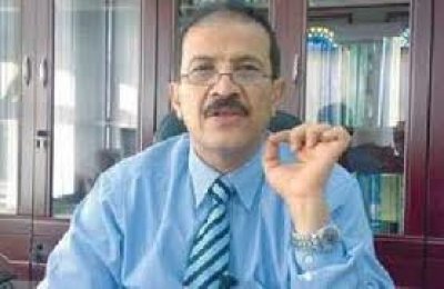 Elections on time will present positive picture of Yemen, senior official 