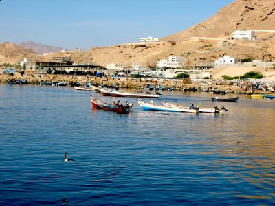 Eritrea seizes 348 Yemeni fishing boats- official report