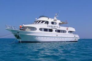 350 tourists arrive at Aden on board German ship(AMADEA)