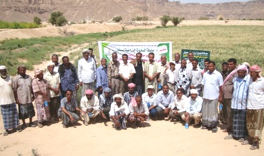 400 farmers in Wadi Hadramout briefed on  wheat productivity