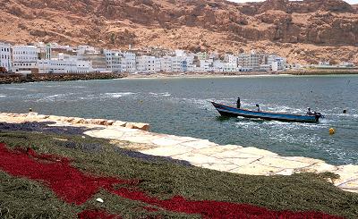 Fisheries wealth ministry to ration traditional fishing in coming period 