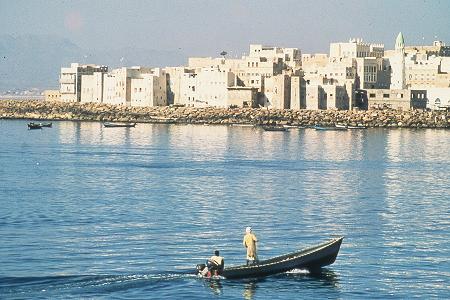 emeni and Gulf Investors Build Iron Factory