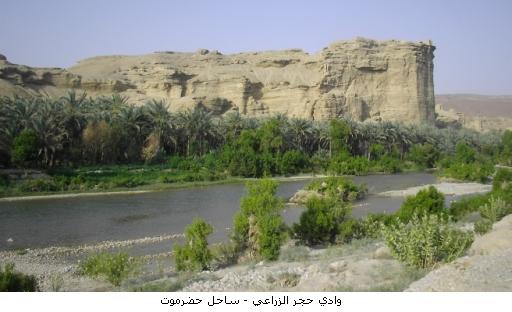 Training of Hajar  health administrative bodies      