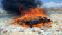  4.5 tons of hashish destroyed  in Mukalla