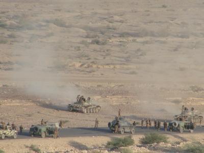 Armed forces defeat elements of terror and sabotage out of areas in Al-Malahidh 