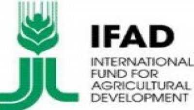 IFAD to carry out $75 mln agricultural project in Yemen