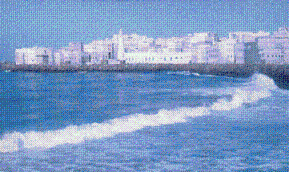 Discuss the growth and development of the fisheries sector in Hadramout