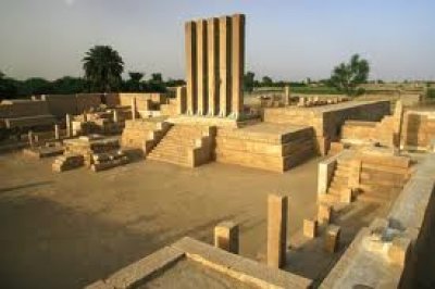 Al-Qaeda leader arrested in Marib province