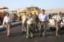 Omaeir stresses on the completion of projects in  Tarim on time 