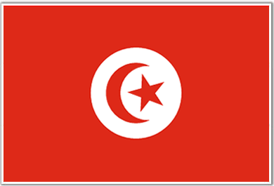 Tunisia awaits new unity gov't