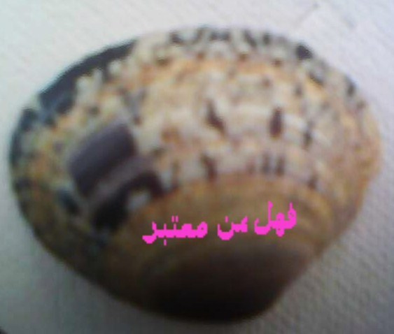 A fisherman finds a shell and on its  surface Kaaba  image