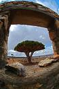 Governor of Hadramout inspects progress of work in a number of projects in the Socotra .