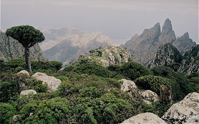  Photography  exhibition on Socotra  island opens  at  Thoron Museum 