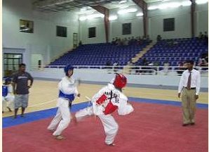 Nine clubs represent hadhramaut Taekwondo 