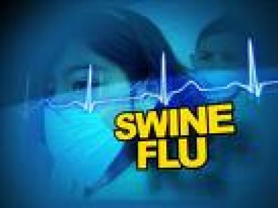 Swine flu cases jump to 51