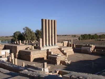 Three of al-Qaeda elements killed, others wounded in Mareb, Yemen