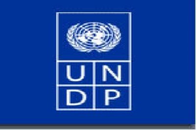 Yemen and UNDP talk agricultural cooperation 