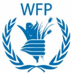 WFP distributes food aid in Shabwa