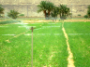 Yemen's imports of plant  pesticides last  year dropped to 461 tons