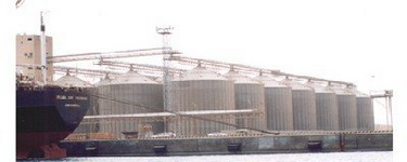 Hadhramaut   Bangun Proyek Peternakan Terbesar di Yaman