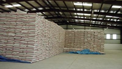 392 Ribu Ton Stok Gandum Di Kwartal Pertama Tahun Ini