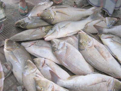 Lebih Dari 76 Miliar Real Ekspor Yaman Di Bulan September