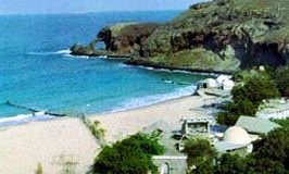 Lumut Hijau Di Pesisir Aden Dari Indonesia