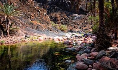 Tim Bantuan UAE Sasar 300 Miskin Suqotro di Hadhramaut