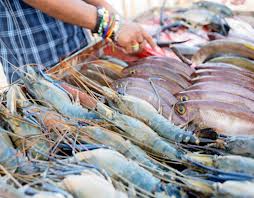 Yaman, Mesir, Algeria, dan Eriteria Diskusikan Kerjasama Sektor Perikanan