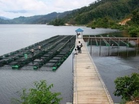 PU Alokasikan 5 Juta Dolar US Untuk Proyek Perikanan Suqotro