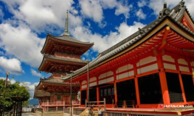 Krisis Yaman, Jepang Bantu 313 Juta USD