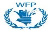 Rencana Kunjungan Para Pejabat Senior WFP ke Yaman Didiskusikan