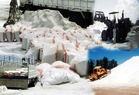 Selama Desember Yaman Ekspor 1000 Ton Garam Ke Kepulauan Seychellese 