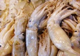 Kementerian Perikanan Akan Tanda Tangani Persetujuan USD 150 Juta