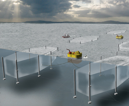 Perusahaan Turki Bangun Pabrik Perikanan di Hadhramaut