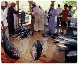 Awal 2009 Ekspor Ikan Menurun 