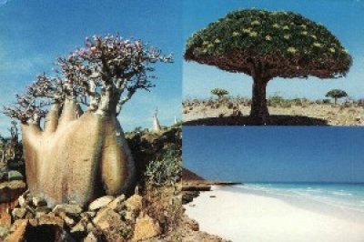 Sebuah Kota Kuno Ditemukan di  Hadhramaut